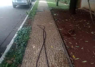 Antes - Calçada